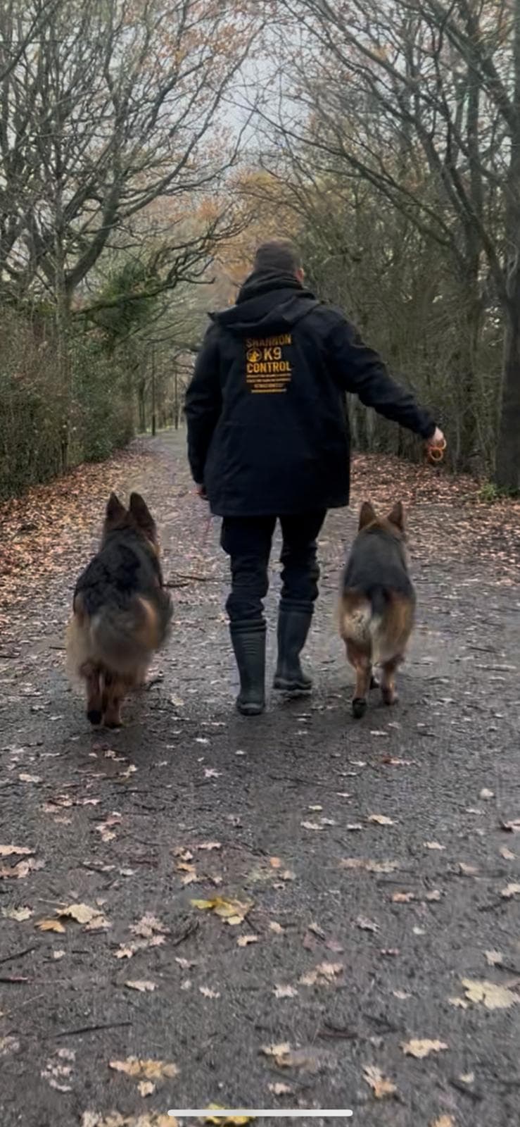 Paul walking dogs